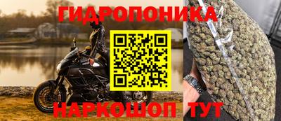 ПСИЛОЦИБИНОВЫЕ ГРИБЫ Будённовск