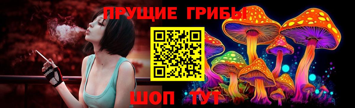 Сальск  сколько стоит  Вход с VPN  Псилоцибиновые грибы мицелий 
